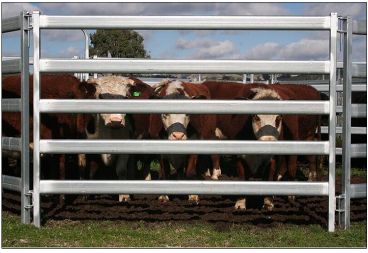 Heavy Duty Galvanized Livestock Cattle Yard Panels Portable Horse Panels