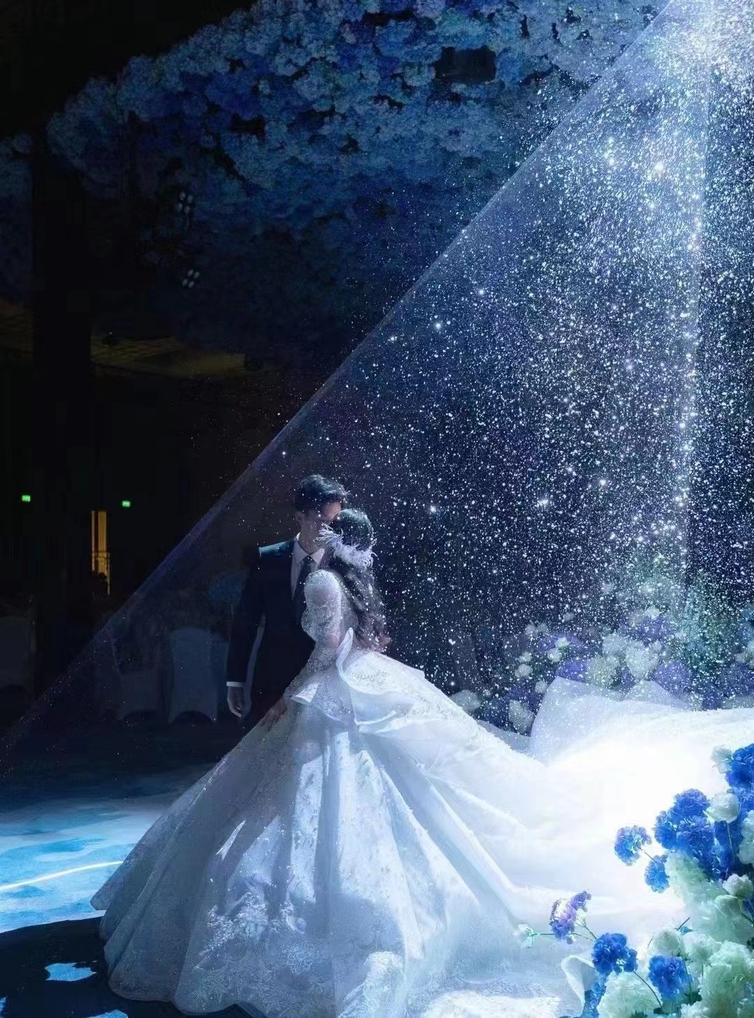 10w Rgb Laser Light Animation Beam Laser Projector Laser Show For Party Disco Wedding Round Circle