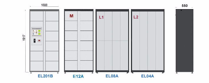 Customized Parcel Delivery Locker Wardrobe Wash Clothes With Remote 240V