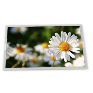  M170ETN01.0 17.0-Inch TFT LCD Display Modules High Brightness with 1280*1024 Resolution Manufactures
