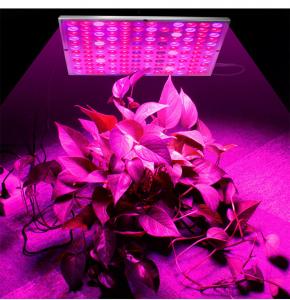 China Full Spectrum 45W 85V Indoor Plant Grow Light on sale