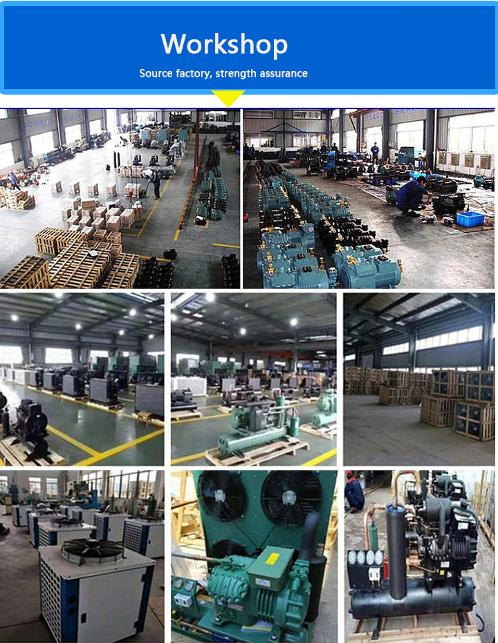 Vegetable Cold Storage Blast Cold Room Preservation Frozen 800ton 1000 KG Weight