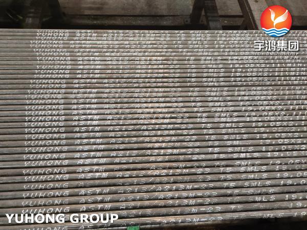 ASTM A213 T5 Alloy Steel Seamless Furnace Tubes In Petrochemical Refinery